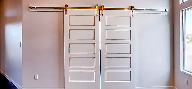 Glass Barn Door with Installation Hardware Kit Independence