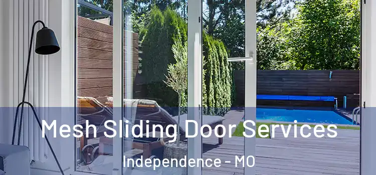  Mesh Sliding Door Services Independence - MO